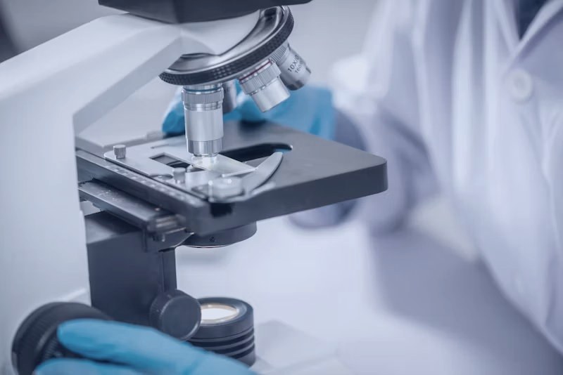 Microscope inspection
